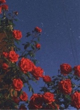 Guest_kaisyanna