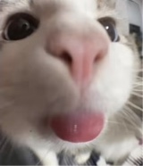 Guest_itzyastephh