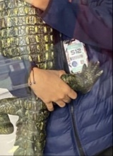 Guest_RichBoy433845