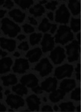 Guest_Sarah907694