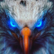 xXDjSaYFXx