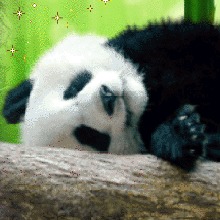 B4DM3N