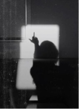 Guest_nicole1614