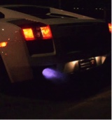 Guest_Anour122