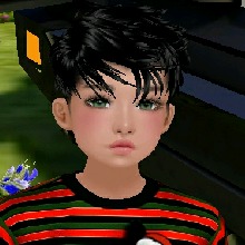 Guest_Davi479747