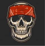 Guest_BOSSMYERSGAMING
