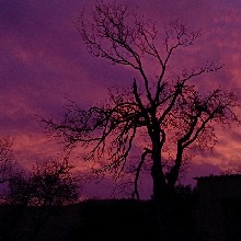 Guest_testydarkslategra5ea