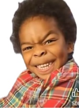 PP33