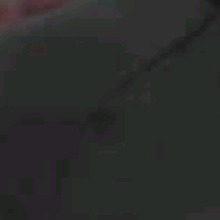 Guest_AmishaBaker