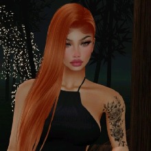 Guest_Ivi15